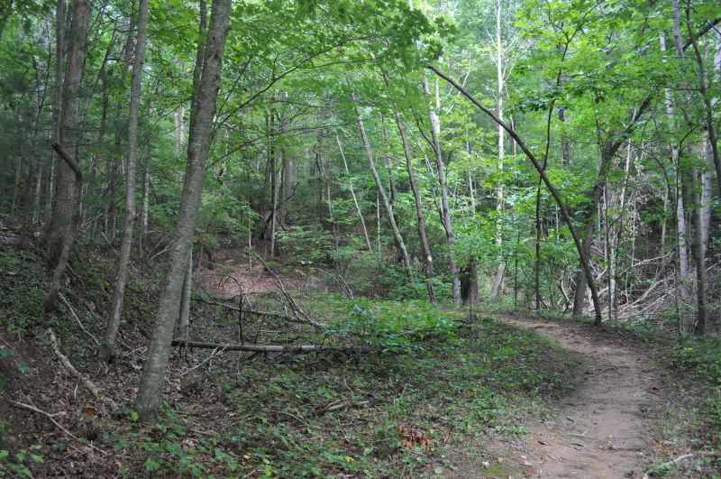 Turkey Farm Loop Hiking trail in the Blue Ridge Mountains of North Georgia