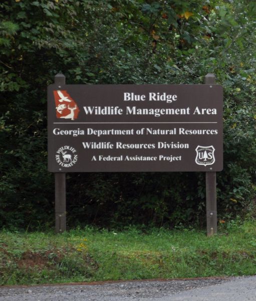 Rock Creek fish hatchery in the Blue Ridge mountains of North Georgia