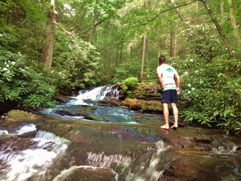 Sea Creek Falls hiking trail in the Blue Ridge mountains of North Georgia